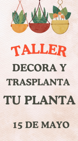 TALLER DECORA Y TRASPLANTA TU PLANTA